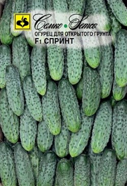 Огурец Спринт F1 (СЕМКО), 0,5 гр.