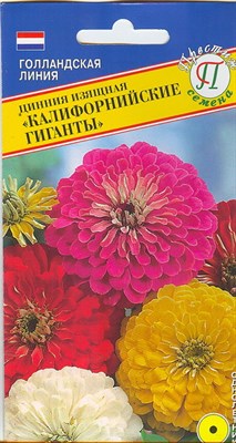 Цинния изящная Калифорнийские гиганты  (Нидерланды) 35 шт. 1410645 - фото 4994