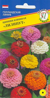 Цинния изящная Лилипут  (Нидерланды) 35 шт. 1410647 - фото 4996