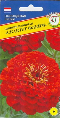 Цинния изящная Скарлет флейм  (Нидерланды) 20 шт. 1410650 - фото 4999