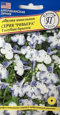 Лобелия кустовая Ривьера Голубые брызги  (США) 5 др. 1410640 - фото 5006