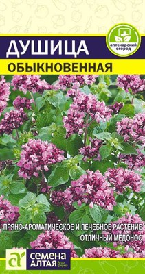 Душица Обыкновенная (Семена Алтая) 0,05 гр. 1310041 - фото 5018