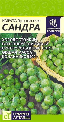 Капуста брюссельская Сандра (Семена Алтая) 0,5 гр. 1110152 - фото 5096