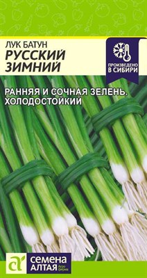 Лук батун Русский Зимний (Семена Алтая) 1 гр. 1110238 - фото 5112