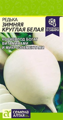 Редька Белая Зимняя Круглая (Семена Алтая) 1 гр. 1110585 - фото 5155