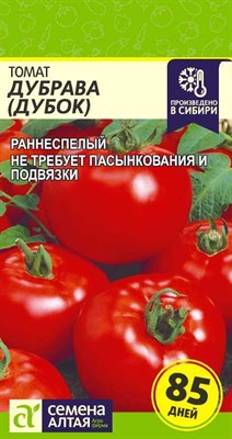 Томат Дубрава (Дубок) (Семена Алтая) 0,1 гр. 1110748 - фото 5181