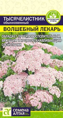 Тысячелистник обыкновенный Волшебный Лекарь (Семена Алтая) 0,1 гр. 1410453 - фото 5239