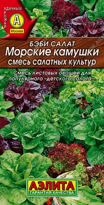 Бэби салат Морские камушки, смесь (АЭЛИТА) 0,5 гр. 1310027 - фото 5443