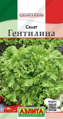 Салат Гентилина (АЭЛИТА) 0,5 гр. 1310116 - фото 5488