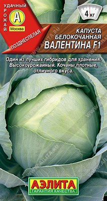 Капуста б/к Валентина F1 (АЭЛИТА) 20 шт. 1110101 - фото 5549