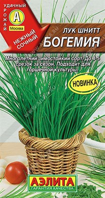 Лук шнитт Богемия (АЭЛИТА) 0,3 гр. 1110278 - фото 5622