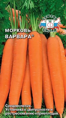 Морковь Варвара (СЕДЕК) 2 гр. 1110295 - фото 5861