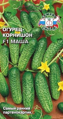 Огурец Маша F1 О/Г (СЕДЕК) 0,15 гр. 1110360 - фото 5887