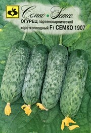 Огурец Семко 1907 F1 (СЕМКО), 5 шт.