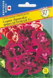 Глоксиния гибридная Брокэйд Фиолетовая F1 (Япония) 10 др. 1410529