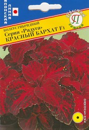 Колеус гибридная Радуга Красный бархат F1 (Япония) 10 шт. 1410535