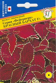 Колеус гибридный Фейерверк Красный бархат F1 (Япония) 10 шт. 1410537