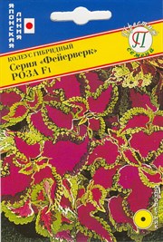 Колеус гибридный Фейерверк Роза F1 (Япония) 10 шт. 1410540