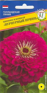 Цинния изящная Пурпурный принц  (Нидерланды) 20 шт. 1410648