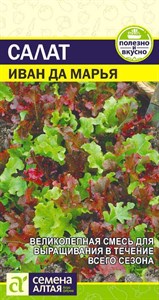 Салат листовой Иван да Марья (Семена Алтая) 0,5 гр. 1310120