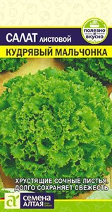 Салат листовой Кудрявый Мальчонка (Семена Алтая) 0,5 гр. 1310126