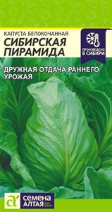 Капуста белокочанная конусовидная Сибирская Пирамида (Семена Алтая) 0,5 гр. 1110130