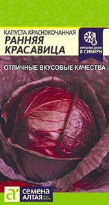 Капуста краснокочанная Ранняя Красавица (Семена Алтая) 0,3 гр. 1110159