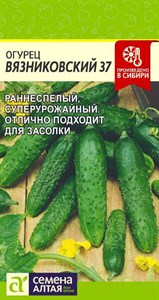 Огурец Вязниковский 37 (Семена Алтая) 0,5 гр. 1110382