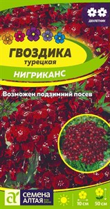 Гвоздика турецкая турецкая Нигриканс (Семена Алтая) 0,1 гр. 1410680