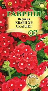 Вербена Кварц XP Скарлет, гибридная (ГАВРИШ) 4 шт. 1410070