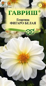 Георгина Фигаро белая (ГАВРИШ) 7 шт. 1410145