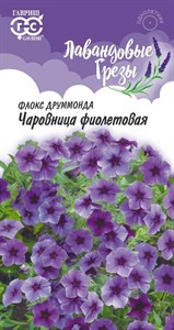 Флокс Чаровница фиолетовая, Друммонда (ГАВРИШ) 0,05 г. 1410460