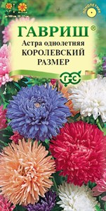 Астра Королевский размер, однолетняя (смесь) (ГАВРИШ) 0,3 гр. 1410012