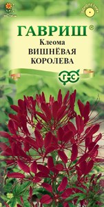 Клеома Вишневая королева (ГАВРИШ) 0,3 гр. 1410172