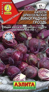 Капуста брюссельская Виноградная гроздь (АЭЛИТА) 0,1 гр. 1110154