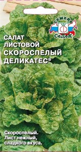 Салат Скороспелый Деликатес (СЕДЕК) 0,5 гр. 1310132