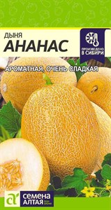 Дыня Ананас (Семена Алтая) 1 гр. 1210033